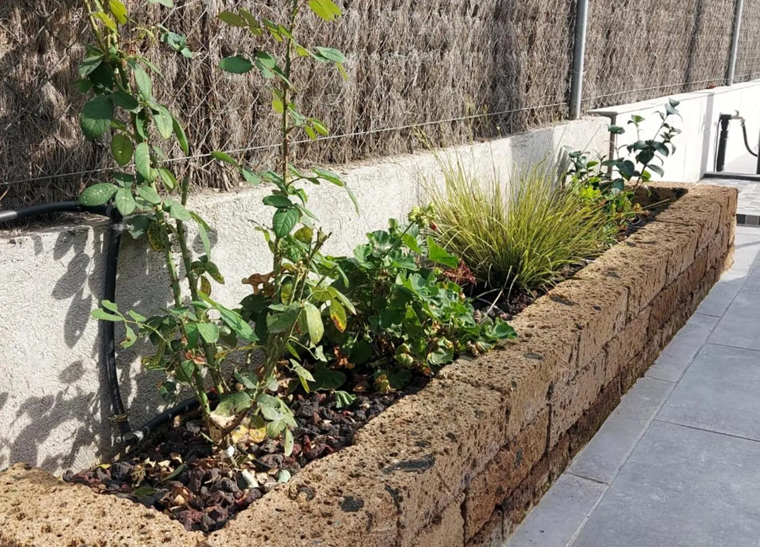 Cerca De Barcelona, Y Entre Tres Parques Naturales, Casa De 4 Habitaciones Y 2 Banos Con Piscina, Barbacoa Y Chimenea Sant Antoni de Vilamajor 0*,
